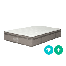 웰스 스프링에어 네이처 퀸